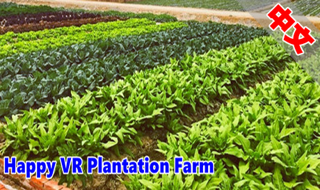 Steam PC VR游戏：《快乐VR种植园体验》Happy VR Plantation Farm（高速下载）VR玩吧官网|VR游戏下载网站|Quest 2 3一体机游戏|VR游戏资源中文汉化平台|Pico Neo3 4|Meta Quest 2 3|HTC VIVE|Oculus Rift|Valve Index|Pico VR|游戏下载中心VR玩吧【VRwanba.com】汉化VR游戏官网