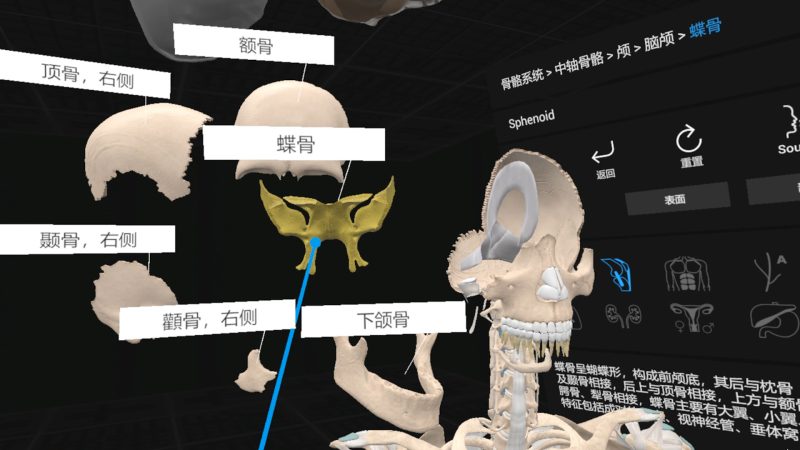 图片[2]VR玩吧官网|VR游戏下载网站|Quest 2 3一体机游戏|VR游戏资源中文汉化平台|Pico Neo3 4|Meta Quest 2 3|HTC VIVE|Oculus Rift|Valve Index|Pico VR|游戏下载中心Steam PC VR游戏《日常解剖VR》Everyday Anatomy VR（高速下载）VR玩吧官网|VR游戏下载网站|Quest 2 3一体机游戏|VR游戏资源中文汉化平台|Pico Neo3 4|Meta Quest 2 3|HTC VIVE|Oculus Rift|Valve Index|Pico VR|游戏下载中心VR玩吧【VRwanba.com】汉化VR游戏官网
