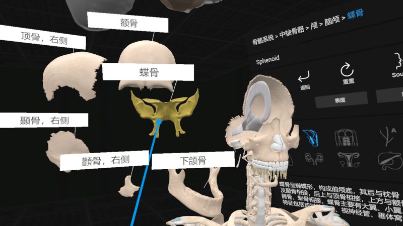 图片[2]VR玩吧-VR游戏破解下载网站-Quest 2 3 一体机游戏-Steam VR串流游戏-VR游戏资源汉化中文网站-Pico Neo3 4-Meta Quest 2 3-HTC VIVE-Oculus Rift-Valve Index-Pico VR-游戏下载中心Steam PC VR游戏《日常解剖VR》Everyday Anatomy VR（高速下载）VR玩吧-VR游戏破解下载网站-Quest 2 3 一体机游戏-Steam VR串流游戏-VR游戏资源汉化中文网站-Pico Neo3 4-Meta Quest 2 3-HTC VIVE-Oculus Rift-Valve Index-Pico VR-游戏下载中心VR玩吧【VRwanba.com】汉化VR游戏官网