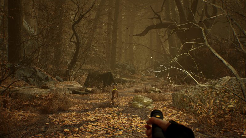 图片[6]VR玩吧-VR游戏破解下载网站-Quest 2 3 一体机游戏-Steam VR串流游戏-VR游戏资源汉化中文网站-Pico Neo3 4-Meta Quest 2 3-HTC VIVE-Oculus Rift-Valve Index-Pico VR-游戏下载中心Steam PC VR游戏《布莱尔女巫VR》Blair Witch: Oculus Quest EditionVR玩吧-VR游戏破解下载网站-Quest 2 3 一体机游戏-Steam VR串流游戏-VR游戏资源汉化中文网站-Pico Neo3 4-Meta Quest 2 3-HTC VIVE-Oculus Rift-Valve Index-Pico VR-游戏下载中心VR玩吧【VRwanba.com】汉化VR游戏官网
