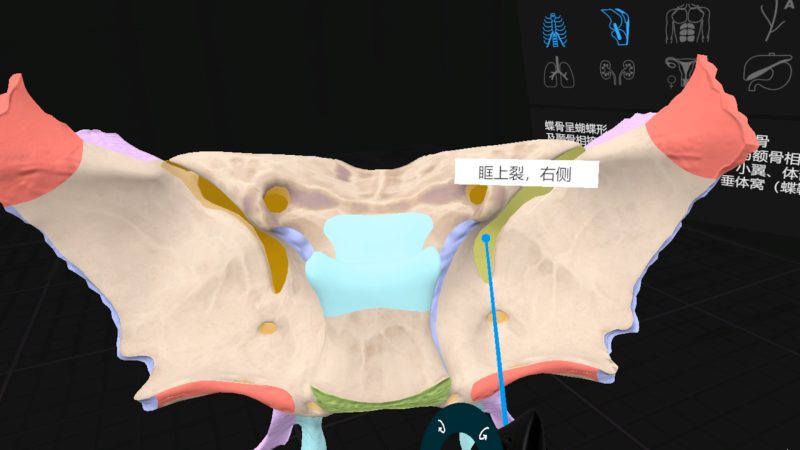 图片[3]VR玩吧-VR游戏破解下载网站-Quest 2 3 一体机游戏-Steam VR串流游戏-VR游戏资源汉化中文网站-Pico Neo3 4-Meta Quest 2 3-HTC VIVE-Oculus Rift-Valve Index-Pico VR-游戏下载中心Steam PC VR游戏《日常解剖VR》Everyday Anatomy VR（高速下载）VR玩吧-VR游戏破解下载网站-Quest 2 3 一体机游戏-Steam VR串流游戏-VR游戏资源汉化中文网站-Pico Neo3 4-Meta Quest 2 3-HTC VIVE-Oculus Rift-Valve Index-Pico VR-游戏下载中心VR玩吧【VRwanba.com】汉化VR游戏官网