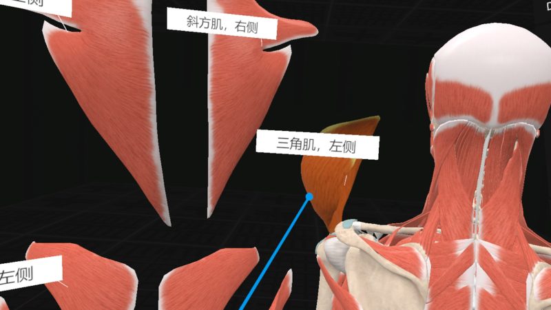 图片[6]VR玩吧官网|VR游戏下载网站|Quest 2 3一体机游戏|VR游戏资源中文汉化平台|Pico Neo3 4|Meta Quest 2 3|HTC VIVE|Oculus Rift|Valve Index|Pico VR|游戏下载中心Steam PC VR游戏《日常解剖VR》Everyday Anatomy VR（高速下载）VR玩吧官网|VR游戏下载网站|Quest 2 3一体机游戏|VR游戏资源中文汉化平台|Pico Neo3 4|Meta Quest 2 3|HTC VIVE|Oculus Rift|Valve Index|Pico VR|游戏下载中心VR玩吧【VRwanba.com】汉化VR游戏官网