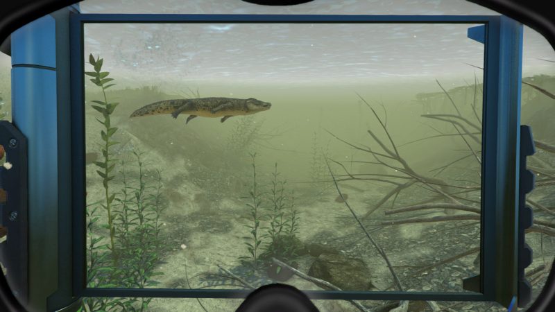 图片[3]VR玩吧-VR游戏破解下载网站-Quest 2 3 一体机游戏-Steam VR串流游戏-VR游戏资源汉化中文网站-Pico Neo3 4-Meta Quest 2 3-HTC VIVE-Oculus Rift-Valve Index-Pico VR-游戏下载中心Steam PC VR游戏《潜水世界》World of Diving（高速下载）VR玩吧-VR游戏破解下载网站-Quest 2 3 一体机游戏-Steam VR串流游戏-VR游戏资源汉化中文网站-Pico Neo3 4-Meta Quest 2 3-HTC VIVE-Oculus Rift-Valve Index-Pico VR-游戏下载中心VR玩吧【VRwanba.com】汉化VR游戏官网