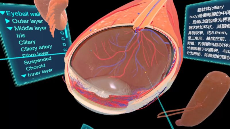图片[6]VR玩吧官网|VR游戏下载网站|Quest 2 3一体机游戏|VR游戏资源中文汉化平台|Pico Neo3 4|Meta Quest 2 3|HTC VIVE|Oculus Rift|Valve Index|Pico VR|游戏下载中心Steam PC VR游戏《眼睛（眼球）结构研究》EyeShow（高速下载）VR玩吧官网|VR游戏下载网站|Quest 2 3一体机游戏|VR游戏资源中文汉化平台|Pico Neo3 4|Meta Quest 2 3|HTC VIVE|Oculus Rift|Valve Index|Pico VR|游戏下载中心VR玩吧【VRwanba.com】汉化VR游戏官网