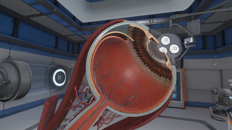 图片[4]VR玩吧官网|VR游戏下载网站|Quest 2 3一体机游戏|VR游戏资源中文汉化平台|Pico Neo3 4|Meta Quest 2 3|HTC VIVE|Oculus Rift|Valve Index|Pico VR|游戏下载中心Steam PC VR游戏《眼睛生理学VR》The Physiology of the Eye（高速下载）VR玩吧官网|VR游戏下载网站|Quest 2 3一体机游戏|VR游戏资源中文汉化平台|Pico Neo3 4|Meta Quest 2 3|HTC VIVE|Oculus Rift|Valve Index|Pico VR|游戏下载中心VR玩吧【VRwanba.com】汉化VR游戏官网