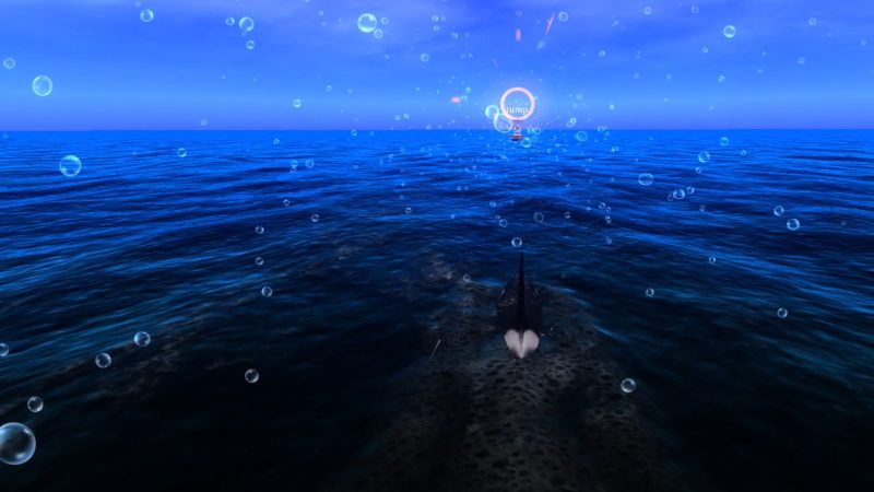 图片[6]VR玩吧-VR游戏破解下载网站-Quest 2 3 一体机游戏-Steam VR串流游戏-VR游戏资源汉化中文网站-Pico Neo3 4-Meta Quest 2 3-HTC VIVE-Oculus Rift-Valve Index-Pico VR-游戏下载中心Steam PC VR游戏《碧海蓝天-回忆VR》Big Blue – Memory（高速下载）VR玩吧-VR游戏破解下载网站-Quest 2 3 一体机游戏-Steam VR串流游戏-VR游戏资源汉化中文网站-Pico Neo3 4-Meta Quest 2 3-HTC VIVE-Oculus Rift-Valve Index-Pico VR-游戏下载中心VR玩吧【VRwanba.com】汉化VR游戏官网