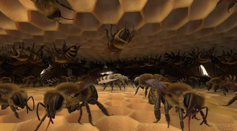 图片[3]VR玩吧-VR游戏破解下载网站-Quest 2 3 一体机游戏-Steam VR串流游戏-VR游戏资源汉化中文网站-Pico Neo3 4-Meta Quest 2 3-HTC VIVE-Oculus Rift-Valve Index-Pico VR-游戏下载中心Oculus Quest 游戏《蜜蜂VR》Honeybee VR（高速下载）VR玩吧-VR游戏破解下载网站-Quest 2 3 一体机游戏-Steam VR串流游戏-VR游戏资源汉化中文网站-Pico Neo3 4-Meta Quest 2 3-HTC VIVE-Oculus Rift-Valve Index-Pico VR-游戏下载中心VR玩吧【VRwanba.com】汉化VR游戏官网