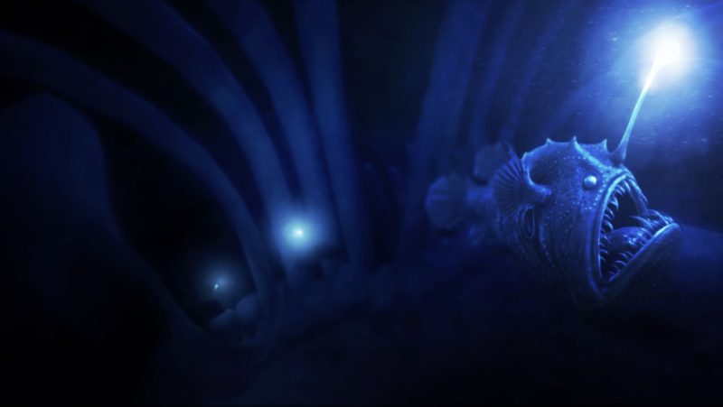 图片[3]VR玩吧-VR游戏破解下载网站-Quest 2 3 一体机游戏-Steam VR串流游戏-VR游戏资源汉化中文网站-Pico Neo3 4-Meta Quest 2 3-HTC VIVE-Oculus Rift-Valve Index-Pico VR-游戏下载中心Steam PC VR游戏《深蓝海底VR》TheBlu（高速下载）VR玩吧-VR游戏破解下载网站-Quest 2 3 一体机游戏-Steam VR串流游戏-VR游戏资源汉化中文网站-Pico Neo3 4-Meta Quest 2 3-HTC VIVE-Oculus Rift-Valve Index-Pico VR-游戏下载中心VR玩吧【VRwanba.com】汉化VR游戏官网