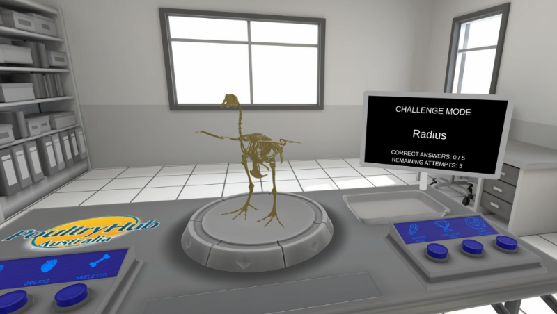 图片[5]VR玩吧官网|VR游戏下载网站|Quest 2 3一体机游戏|VR游戏资源中文汉化平台|Pico Neo3 4|Meta Quest 2 3|HTC VIVE|Oculus Rift|Valve Index|Pico VR|游戏下载中心Oculus Quest 游戏《小鸡的解剖VR》Anatomy of a Chicken（高速下载）VR玩吧官网|VR游戏下载网站|Quest 2 3一体机游戏|VR游戏资源中文汉化平台|Pico Neo3 4|Meta Quest 2 3|HTC VIVE|Oculus Rift|Valve Index|Pico VR|游戏下载中心VR玩吧【VRwanba.com】汉化VR游戏官网