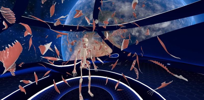 图片[3]VR玩吧-VR游戏破解下载网站-Quest 2 3 一体机游戏-Steam VR串流游戏-VR游戏资源汉化中文网站-Pico Neo3 4-Meta Quest 2 3-HTC VIVE-Oculus Rift-Valve Index-Pico VR-游戏下载中心Oculus Quest 游戏《高中解剖学VR》中文版 High School Anatomy for Quest（高速下载）VR玩吧-VR游戏破解下载网站-Quest 2 3 一体机游戏-Steam VR串流游戏-VR游戏资源汉化中文网站-Pico Neo3 4-Meta Quest 2 3-HTC VIVE-Oculus Rift-Valve Index-Pico VR-游戏下载中心VR玩吧【VRwanba.com】汉化VR游戏官网