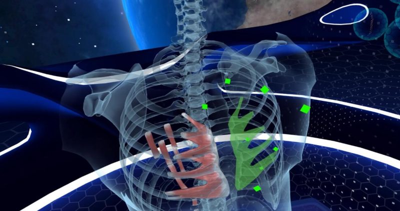 图片[4]VR玩吧-VR游戏破解下载网站-Quest 2 3 一体机游戏-Steam VR串流游戏-VR游戏资源汉化中文网站-Pico Neo3 4-Meta Quest 2 3-HTC VIVE-Oculus Rift-Valve Index-Pico VR-游戏下载中心Oculus Quest 游戏《高中解剖学VR》中文版 High School Anatomy for Quest（高速下载）VR玩吧-VR游戏破解下载网站-Quest 2 3 一体机游戏-Steam VR串流游戏-VR游戏资源汉化中文网站-Pico Neo3 4-Meta Quest 2 3-HTC VIVE-Oculus Rift-Valve Index-Pico VR-游戏下载中心VR玩吧【VRwanba.com】汉化VR游戏官网