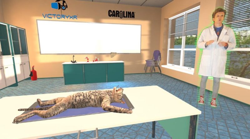 图片[2]VR玩吧-VR游戏破解下载网站-Quest 2 3 一体机游戏-Steam VR串流游戏-VR游戏资源汉化中文网站-Pico Neo3 4-Meta Quest 2 3-HTC VIVE-Oculus Rift-Valve Index-Pico VR-游戏下载中心Oculus Quest游戏《解剖模拟器VR猫科动物》Dissection Simulator – Cat Edition（高速下载）VR玩吧-VR游戏破解下载网站-Quest 2 3 一体机游戏-Steam VR串流游戏-VR游戏资源汉化中文网站-Pico Neo3 4-Meta Quest 2 3-HTC VIVE-Oculus Rift-Valve Index-Pico VR-游戏下载中心VR玩吧【VRwanba.com】汉化VR游戏官网