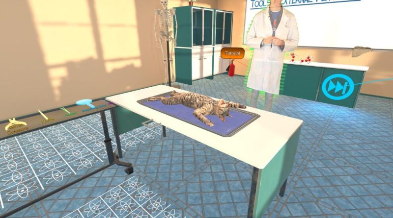 图片[3]VR玩吧官网|VR游戏下载网站|Quest 2 3一体机游戏|VR游戏资源中文汉化平台|Pico Neo3 4|Meta Quest 2 3|HTC VIVE|Oculus Rift|Valve Index|Pico VR|游戏下载中心Oculus Quest游戏《解剖模拟器VR猫科动物》Dissection Simulator – Cat Edition（高速下载）VR玩吧官网|VR游戏下载网站|Quest 2 3一体机游戏|VR游戏资源中文汉化平台|Pico Neo3 4|Meta Quest 2 3|HTC VIVE|Oculus Rift|Valve Index|Pico VR|游戏下载中心VR玩吧【VRwanba.com】汉化VR游戏官网