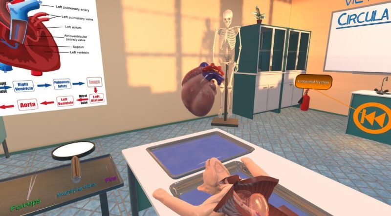 图片[5]VR玩吧官网|VR游戏下载网站|Quest 2 3一体机游戏|VR游戏资源中文汉化平台|Pico Neo3 4|Meta Quest 2 3|HTC VIVE|Oculus Rift|Valve Index|Pico VR|游戏下载中心Oculus Quest游戏《解剖模拟器VR猫科动物》Dissection Simulator – Cat Edition（高速下载）VR玩吧官网|VR游戏下载网站|Quest 2 3一体机游戏|VR游戏资源中文汉化平台|Pico Neo3 4|Meta Quest 2 3|HTC VIVE|Oculus Rift|Valve Index|Pico VR|游戏下载中心VR玩吧【VRwanba.com】汉化VR游戏官网