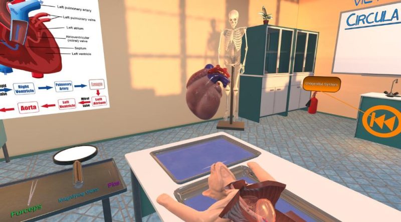 图片[5]VR玩吧-VR游戏破解下载网站-Quest 2 3 一体机游戏-Steam VR串流游戏-VR游戏资源汉化中文网站-Pico Neo3 4-Meta Quest 2 3-HTC VIVE-Oculus Rift-Valve Index-Pico VR-游戏下载中心Oculus Quest游戏《解剖模拟器VR猫科动物》Dissection Simulator – Cat Edition（高速下载）VR玩吧-VR游戏破解下载网站-Quest 2 3 一体机游戏-Steam VR串流游戏-VR游戏资源汉化中文网站-Pico Neo3 4-Meta Quest 2 3-HTC VIVE-Oculus Rift-Valve Index-Pico VR-游戏下载中心VR玩吧【VRwanba.com】汉化VR游戏官网