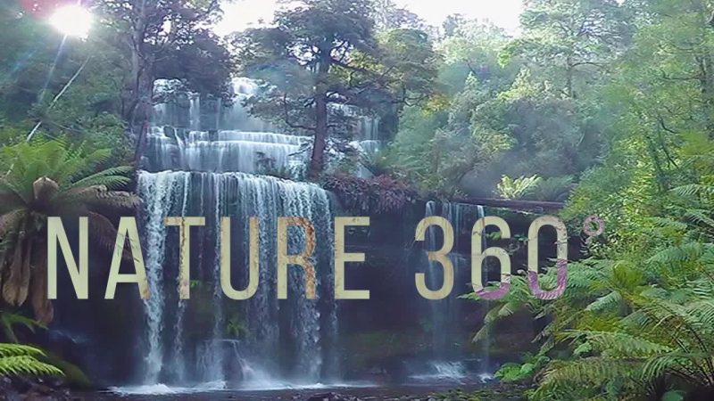 图片[1]VR玩吧-VR游戏破解下载网站-Quest 2 3 一体机游戏-Steam VR串流游戏-VR游戏资源汉化中文网站-Pico Neo3 4-Meta Quest 2 3-HTC VIVE-Oculus Rift-Valve Index-Pico VR-游戏下载中心360 全景视频： VR Quest 的自然冥想VR玩吧-VR游戏破解下载网站-Quest 2 3 一体机游戏-Steam VR串流游戏-VR游戏资源汉化中文网站-Pico Neo3 4-Meta Quest 2 3-HTC VIVE-Oculus Rift-Valve Index-Pico VR-游戏下载中心VR玩吧【VRwanba.com】汉化VR游戏官网