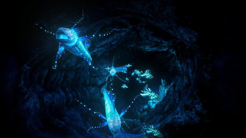 图片[3]VR玩吧-VR游戏破解下载网站-Quest 2 3 一体机游戏-Steam VR串流游戏-VR游戏资源汉化中文网站-Pico Neo3 4-Meta Quest 2 3-HTC VIVE-Oculus Rift-Valve Index-Pico VR-游戏下载中心Oculus Quest 游戏《蓝色深渊VR》Biolum（高速下载）VR玩吧-VR游戏破解下载网站-Quest 2 3 一体机游戏-Steam VR串流游戏-VR游戏资源汉化中文网站-Pico Neo3 4-Meta Quest 2 3-HTC VIVE-Oculus Rift-Valve Index-Pico VR-游戏下载中心VR玩吧【VRwanba.com】汉化VR游戏官网