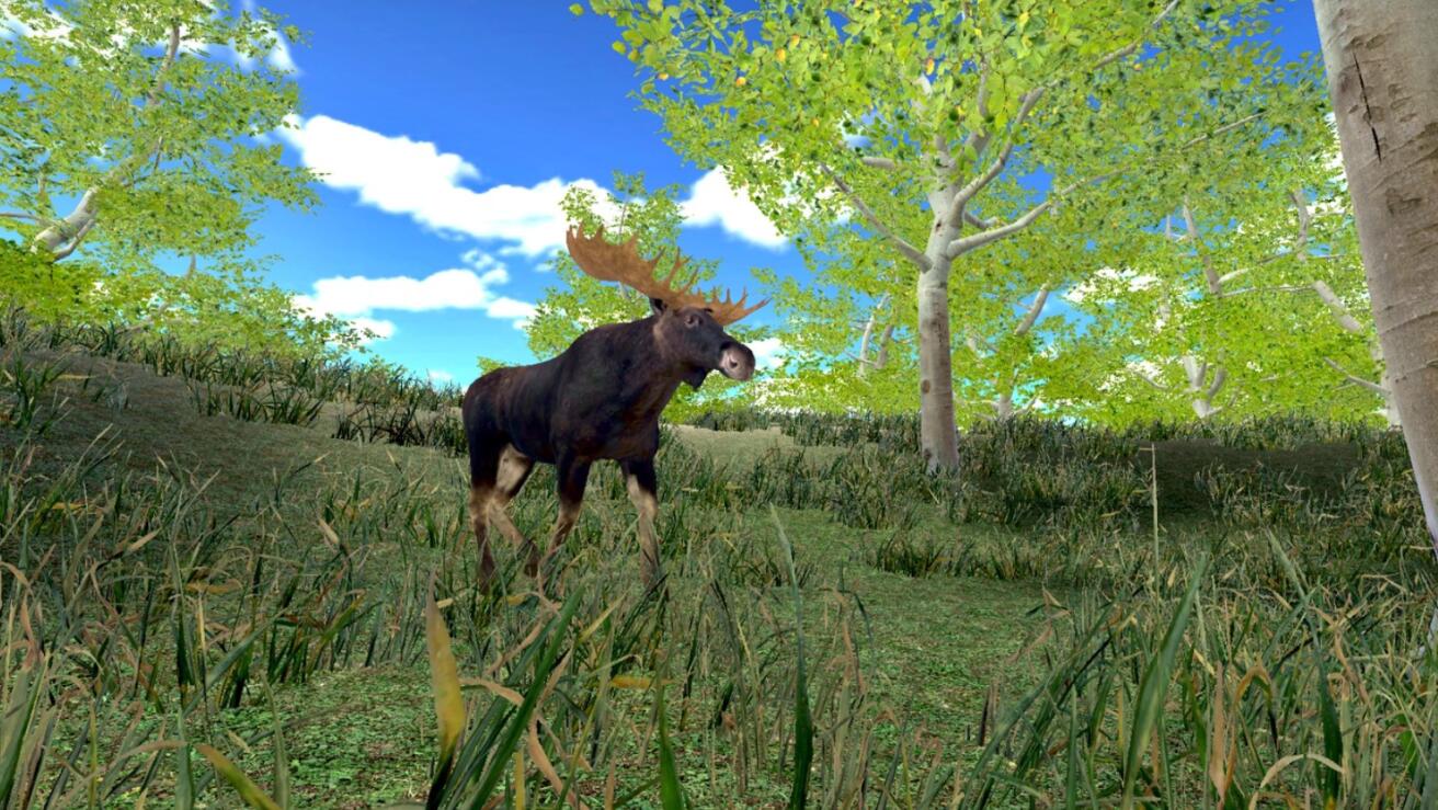 图片[3]VR玩吧-VR游戏破解下载网站-Quest 2 3 一体机游戏-Steam VR串流游戏-VR游戏资源汉化中文网站-Pico Neo3 4-Meta Quest 2 3-HTC VIVE-Oculus Rift-Valve Index-Pico VR-游戏下载中心Oculus Quest 游戏《狩猎模拟器》Hunting SimulatorVR玩吧-VR游戏破解下载网站-Quest 2 3 一体机游戏-Steam VR串流游戏-VR游戏资源汉化中文网站-Pico Neo3 4-Meta Quest 2 3-HTC VIVE-Oculus Rift-Valve Index-Pico VR-游戏下载中心VR玩吧【VRwanba.com】汉化VR游戏官网