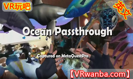 图片[1]VR玩吧-VR游戏破解下载网站-Quest 2 3 一体机游戏-Steam VR串流游戏-VR游戏资源汉化中文网站-Pico Neo3 4-Meta Quest 2 3-HTC VIVE-Oculus Rift-Valve Index-Pico VR-游戏下载中心Oculus Quest 游戏《海洋世界》Ocean PassthroughVR玩吧-VR游戏破解下载网站-Quest 2 3 一体机游戏-Steam VR串流游戏-VR游戏资源汉化中文网站-Pico Neo3 4-Meta Quest 2 3-HTC VIVE-Oculus Rift-Valve Index-Pico VR-游戏下载中心VR玩吧【VRwanba.com】汉化VR游戏官网