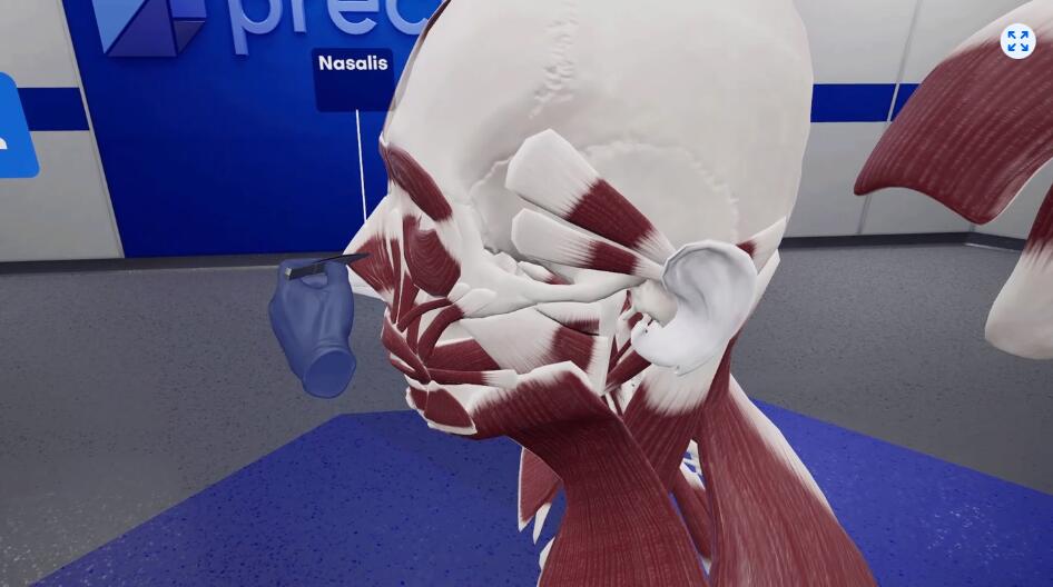 图片[5]VR玩吧-VR游戏破解下载网站-Quest 2 3 一体机游戏-Steam VR串流游戏-VR游戏资源汉化中文网站-Pico Neo3 4-Meta Quest 2 3-HTC VIVE-Oculus Rift-Valve Index-Pico VR-游戏下载中心Oculus Quest 游戏《精密解剖学》BodyWorks Precision AnatomyVR玩吧-VR游戏破解下载网站-Quest 2 3 一体机游戏-Steam VR串流游戏-VR游戏资源汉化中文网站-Pico Neo3 4-Meta Quest 2 3-HTC VIVE-Oculus Rift-Valve Index-Pico VR-游戏下载中心VR玩吧【VRwanba.com】汉化VR游戏官网