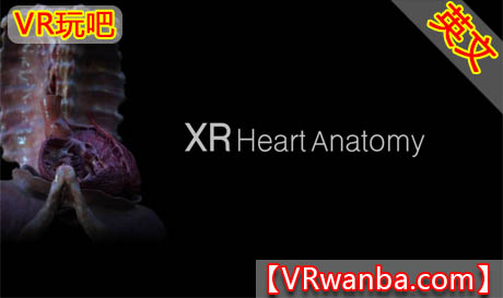图片[1]VR玩吧-VR游戏破解下载网站-Quest 2 3 一体机游戏-Steam VR串流游戏-VR游戏资源汉化中文网站-Pico Neo3 4-Meta Quest 2 3-HTC VIVE-Oculus Rift-Valve Index-Pico VR-游戏下载中心Oculus Quest 游戏《XR心脏解剖》XR Heart AnatomyVR玩吧-VR游戏破解下载网站-Quest 2 3 一体机游戏-Steam VR串流游戏-VR游戏资源汉化中文网站-Pico Neo3 4-Meta Quest 2 3-HTC VIVE-Oculus Rift-Valve Index-Pico VR-游戏下载中心VR玩吧【VRwanba.com】汉化VR游戏官网