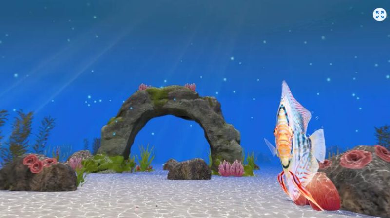 图片[3]VR玩吧-VR游戏破解下载网站-Quest 2 3 一体机游戏-Steam VR串流游戏-VR游戏资源汉化中文网站-Pico Neo3 4-Meta Quest 2 3-HTC VIVE-Oculus Rift-Valve Index-Pico VR-游戏下载中心Meta Quest 游戏《可视化：探索世界》Visutate: Relax Escape ExploreVR玩吧-VR游戏破解下载网站-Quest 2 3 一体机游戏-Steam VR串流游戏-VR游戏资源汉化中文网站-Pico Neo3 4-Meta Quest 2 3-HTC VIVE-Oculus Rift-Valve Index-Pico VR-游戏下载中心VR玩吧【VRwanba.com】汉化VR游戏官网