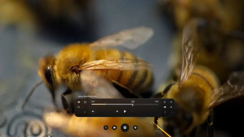 图片[6]VR玩吧-VR游戏破解下载网站-Quest 2 3 一体机游戏-Steam VR串流游戏-VR游戏资源汉化中文网站-Pico Neo3 4-Meta Quest 2 3-HTC VIVE-Oculus Rift-Valve Index-Pico VR-游戏下载中心Meta Quest 游戏《即兴VR视频播放器》Commedia VR Video PlayerVR玩吧-VR游戏破解下载网站-Quest 2 3 一体机游戏-Steam VR串流游戏-VR游戏资源汉化中文网站-Pico Neo3 4-Meta Quest 2 3-HTC VIVE-Oculus Rift-Valve Index-Pico VR-游戏下载中心VR玩吧【VRwanba.com】汉化VR游戏官网