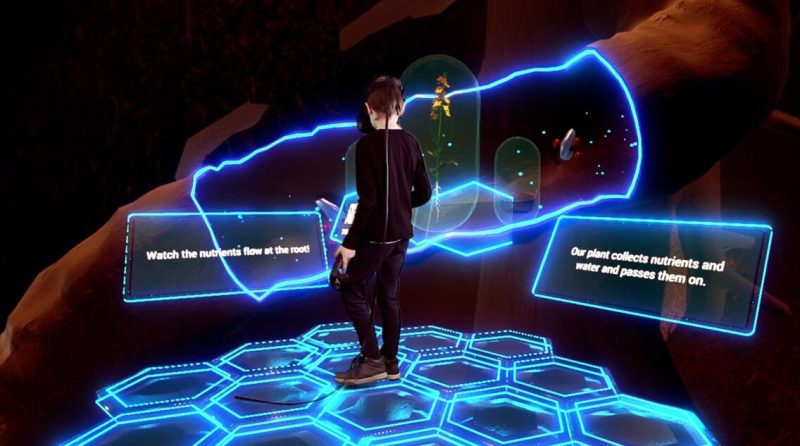 图片[4]VR玩吧-VR游戏破解下载网站-Quest 2 3 一体机游戏-Steam VR串流游戏-VR游戏资源汉化中文网站-Pico Neo3 4-Meta Quest 2 3-HTC VIVE-Oculus Rift-Valve Index-Pico VR-游戏下载中心Meta Quest 游戏《VR植物之旅》VR Plant JourneyVR玩吧-VR游戏破解下载网站-Quest 2 3 一体机游戏-Steam VR串流游戏-VR游戏资源汉化中文网站-Pico Neo3 4-Meta Quest 2 3-HTC VIVE-Oculus Rift-Valve Index-Pico VR-游戏下载中心VR玩吧【VRwanba.com】汉化VR游戏官网