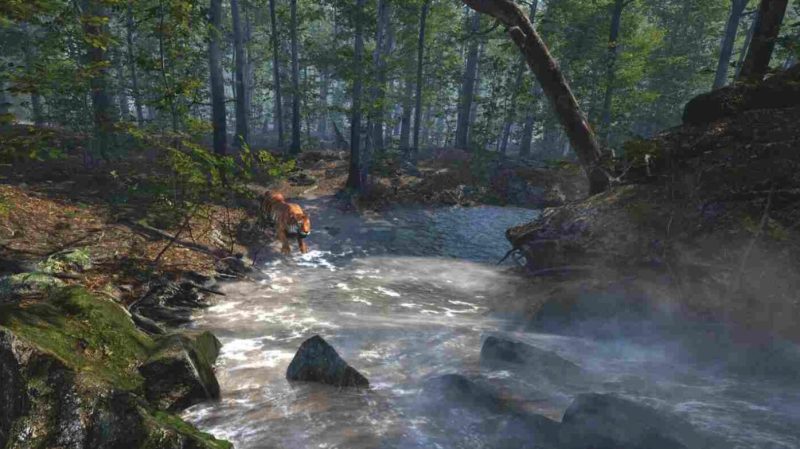 图片[4]VR玩吧-VR游戏破解下载网站-Quest 2 3 一体机游戏-Steam VR串流游戏-VR游戏资源汉化中文网站-Pico Neo3 4-Meta Quest 2 3-HTC VIVE-Oculus Rift-Valve Index-Pico VR-游戏下载中心Meta Quest 游戏《大型猫科动物》Big Cat RescueVR玩吧-VR游戏破解下载网站-Quest 2 3 一体机游戏-Steam VR串流游戏-VR游戏资源汉化中文网站-Pico Neo3 4-Meta Quest 2 3-HTC VIVE-Oculus Rift-Valve Index-Pico VR-游戏下载中心VR玩吧【VRwanba.com】汉化VR游戏官网