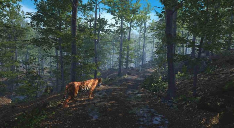 图片[2]VR玩吧-VR游戏破解下载网站-Quest 2 3 一体机游戏-Steam VR串流游戏-VR游戏资源汉化中文网站-Pico Neo3 4-Meta Quest 2 3-HTC VIVE-Oculus Rift-Valve Index-Pico VR-游戏下载中心Meta Quest 游戏《大型猫科动物》Big Cat RescueVR玩吧-VR游戏破解下载网站-Quest 2 3 一体机游戏-Steam VR串流游戏-VR游戏资源汉化中文网站-Pico Neo3 4-Meta Quest 2 3-HTC VIVE-Oculus Rift-Valve Index-Pico VR-游戏下载中心VR玩吧【VRwanba.com】汉化VR游戏官网