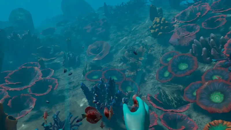 图片[3]VR玩吧-VR游戏破解下载网站-Quest 2 3 一体机游戏-Steam VR串流游戏-VR游戏资源汉化中文网站-Pico Neo3 4-Meta Quest 2 3-HTC VIVE-Oculus Rift-Valve Index-Pico VR-游戏下载中心Meta Quest 游戏《你能听到我吗》Can You Hear MeVR玩吧-VR游戏破解下载网站-Quest 2 3 一体机游戏-Steam VR串流游戏-VR游戏资源汉化中文网站-Pico Neo3 4-Meta Quest 2 3-HTC VIVE-Oculus Rift-Valve Index-Pico VR-游戏下载中心VR玩吧【VRwanba.com】汉化VR游戏官网