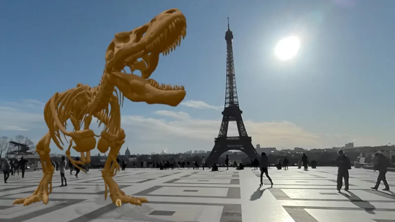 图片[2]VR玩吧-VR游戏破解下载网站-Quest 2 3 一体机游戏-Steam VR串流游戏-VR游戏资源汉化中文网站-Pico Neo3 4-Meta Quest 2 3-HTC VIVE-Oculus Rift-Valve Index-Pico VR-游戏下载中心Meta Quest 游戏《恐龙实验室》Le Dino LaboVR玩吧-VR游戏破解下载网站-Quest 2 3 一体机游戏-Steam VR串流游戏-VR游戏资源汉化中文网站-Pico Neo3 4-Meta Quest 2 3-HTC VIVE-Oculus Rift-Valve Index-Pico VR-游戏下载中心VR玩吧【VRwanba.com】汉化VR游戏官网