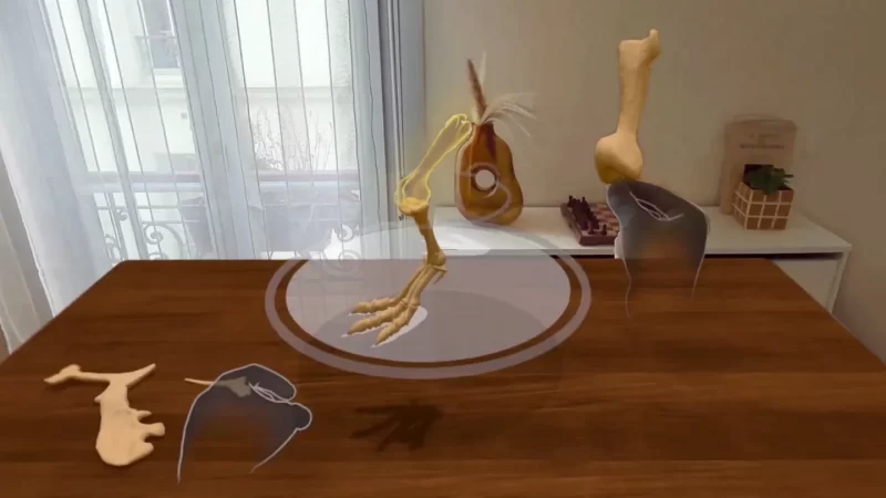 图片[5]VR玩吧-VR游戏破解下载网站-Quest 2 3 一体机游戏-Steam VR串流游戏-VR游戏资源汉化中文网站-Pico Neo3 4-Meta Quest 2 3-HTC VIVE-Oculus Rift-Valve Index-Pico VR-游戏下载中心Meta Quest 游戏《恐龙实验室》Le Dino LaboVR玩吧-VR游戏破解下载网站-Quest 2 3 一体机游戏-Steam VR串流游戏-VR游戏资源汉化中文网站-Pico Neo3 4-Meta Quest 2 3-HTC VIVE-Oculus Rift-Valve Index-Pico VR-游戏下载中心VR玩吧【VRwanba.com】汉化VR游戏官网