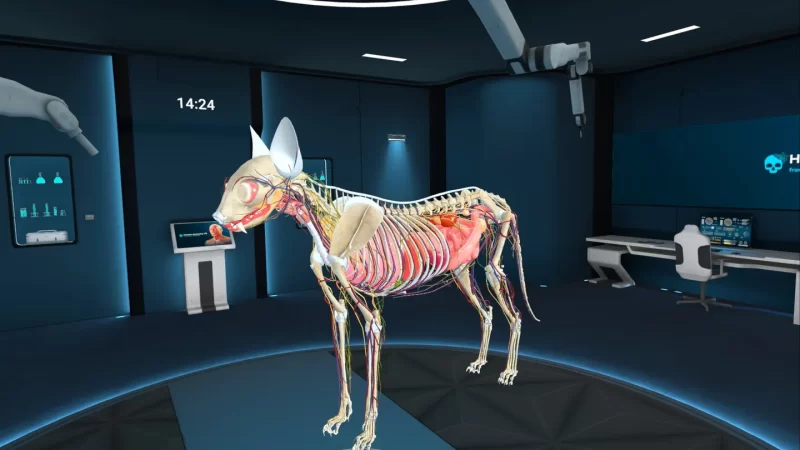 图片[5]VR玩吧-VR游戏下载网站-Quest 2 3S 一体机游戏-Steam VR串流游戏-VR游戏资源汉化中文网站-Pico Neo3 4-Meta Quest 2 3-HTC VIVE-Oculus Rift-Valve Index-Pico VR-游戏下载中心Meta Quest 游戏《动物解剖学XR》Animal Anatomy XRVR玩吧-VR游戏下载网站-Quest 2 3S 一体机游戏-Steam VR串流游戏-VR游戏资源汉化中文网站-Pico Neo3 4-Meta Quest 2 3-HTC VIVE-Oculus Rift-Valve Index-Pico VR-游戏下载中心VR玩吧【VRwanba.com】汉化VR游戏官网