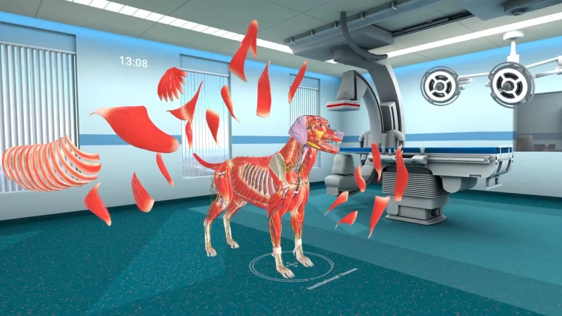 图片[6]VR玩吧-VR游戏下载网站-Quest 2 3S 一体机游戏-Steam VR串流游戏-VR游戏资源汉化中文网站-Pico Neo3 4-Meta Quest 2 3-HTC VIVE-Oculus Rift-Valve Index-Pico VR-游戏下载中心Meta Quest 游戏《动物解剖学XR》Animal Anatomy XRVR玩吧-VR游戏下载网站-Quest 2 3S 一体机游戏-Steam VR串流游戏-VR游戏资源汉化中文网站-Pico Neo3 4-Meta Quest 2 3-HTC VIVE-Oculus Rift-Valve Index-Pico VR-游戏下载中心VR玩吧【VRwanba.com】汉化VR游戏官网
