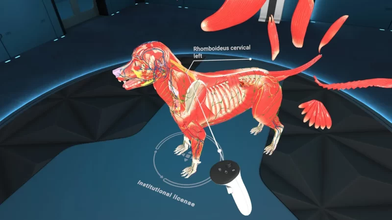 图片[3]VR玩吧-VR游戏下载网站-Quest 2 3S 一体机游戏-Steam VR串流游戏-VR游戏资源汉化中文网站-Pico Neo3 4-Meta Quest 2 3-HTC VIVE-Oculus Rift-Valve Index-Pico VR-游戏下载中心Meta Quest 游戏《动物解剖学XR》Animal Anatomy XRVR玩吧-VR游戏下载网站-Quest 2 3S 一体机游戏-Steam VR串流游戏-VR游戏资源汉化中文网站-Pico Neo3 4-Meta Quest 2 3-HTC VIVE-Oculus Rift-Valve Index-Pico VR-游戏下载中心VR玩吧【VRwanba.com】汉化VR游戏官网